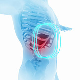 Detoxikační efekt pulzní magnetoterapie Biomag